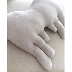 Διακοσμητικό μαξιλάρι angel Wings 