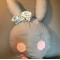 Sweet Rabbit
