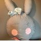Sweet Rabbit