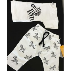 Zebras body