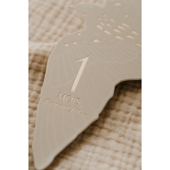 ΚΑΡΤΕΣ millstone birtds