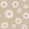 Tuscan Daisies Cappucino Wallpaper 